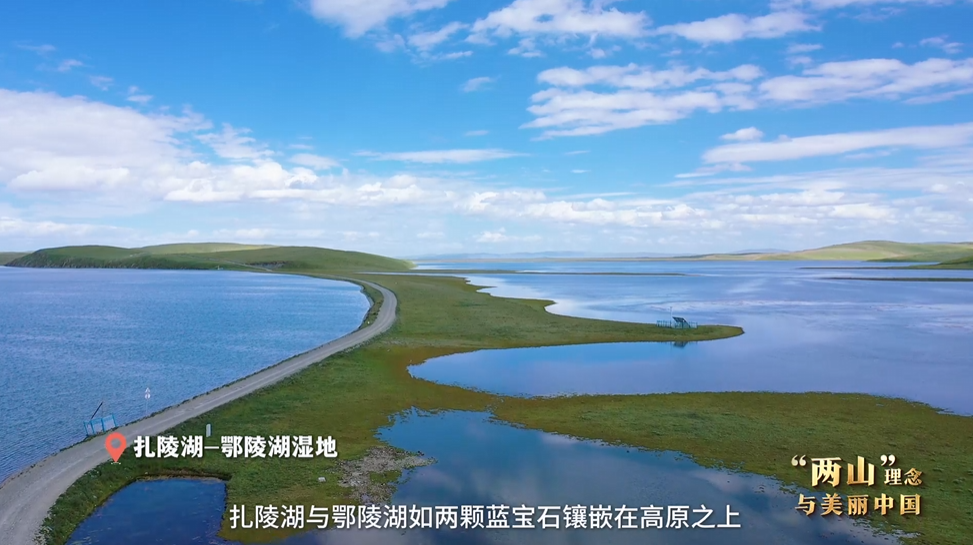 “兩山”理念與美麗中國丨濕地與候鳥，一場歲歲年年的相守