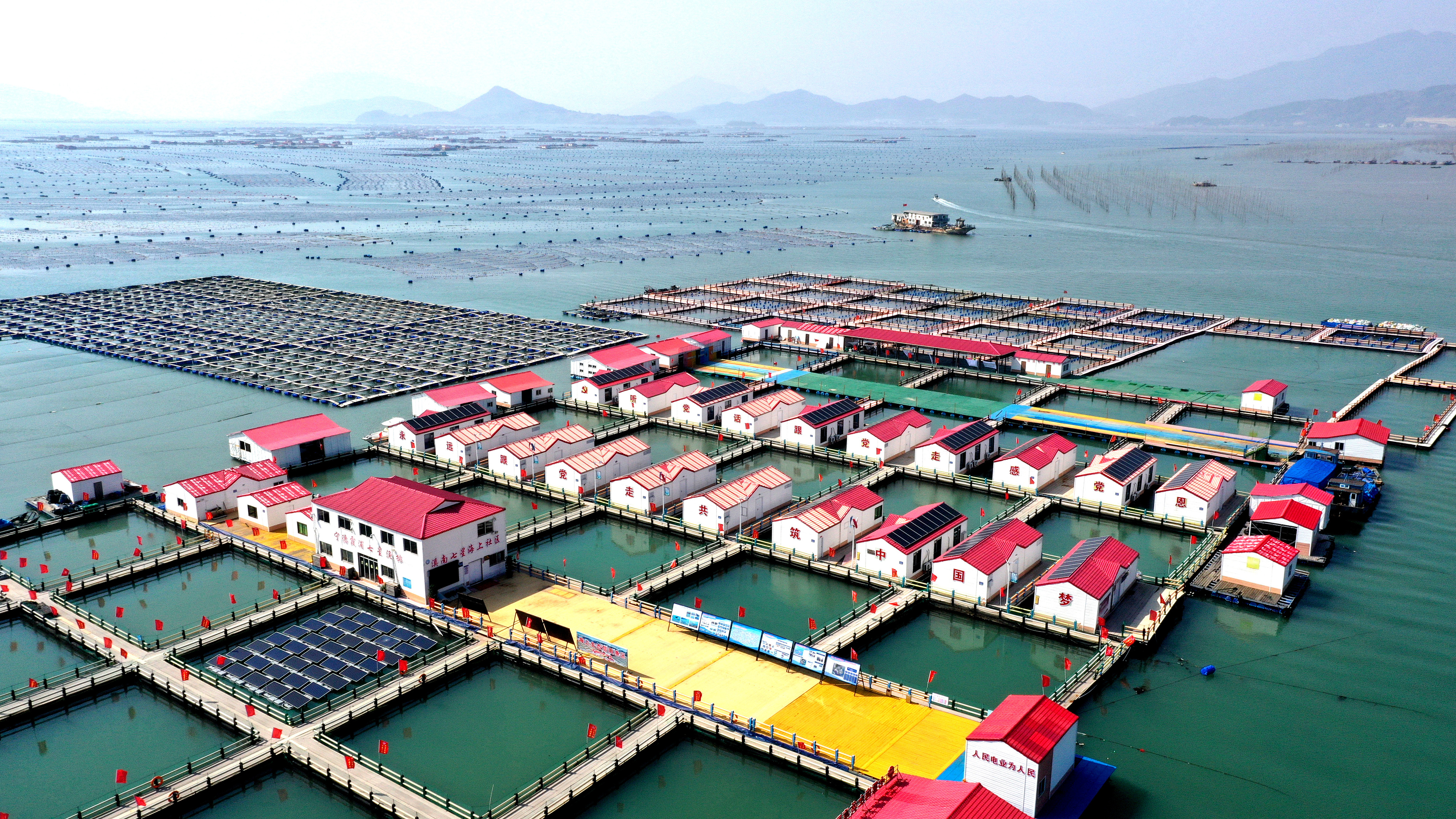 2024年3月20日，福建省寧德市，霞浦縣溪南鎮(zhèn)七星村漁排養(yǎng)殖示范區(qū)，漁民駕駛養(yǎng)殖船進(jìn)行海參養(yǎng)殖作業(yè)。