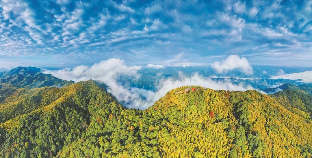 　三明森林生態(tài)環(huán)境優(yōu)美。