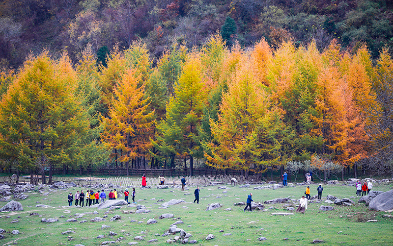 2023年10月27日，深秋時節(jié)的陜西秦嶺太子嶺漫山紅黃、色彩交織，進入最佳觀賞期。