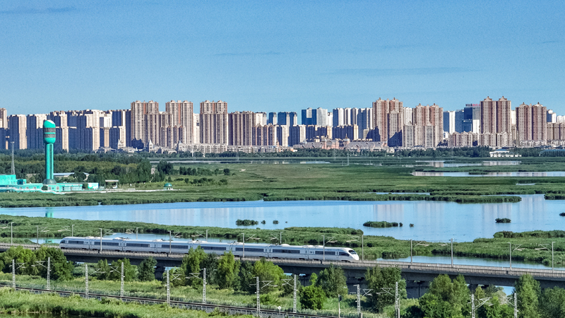 2025年8月17日，一列動車組列車駛過大慶東站。