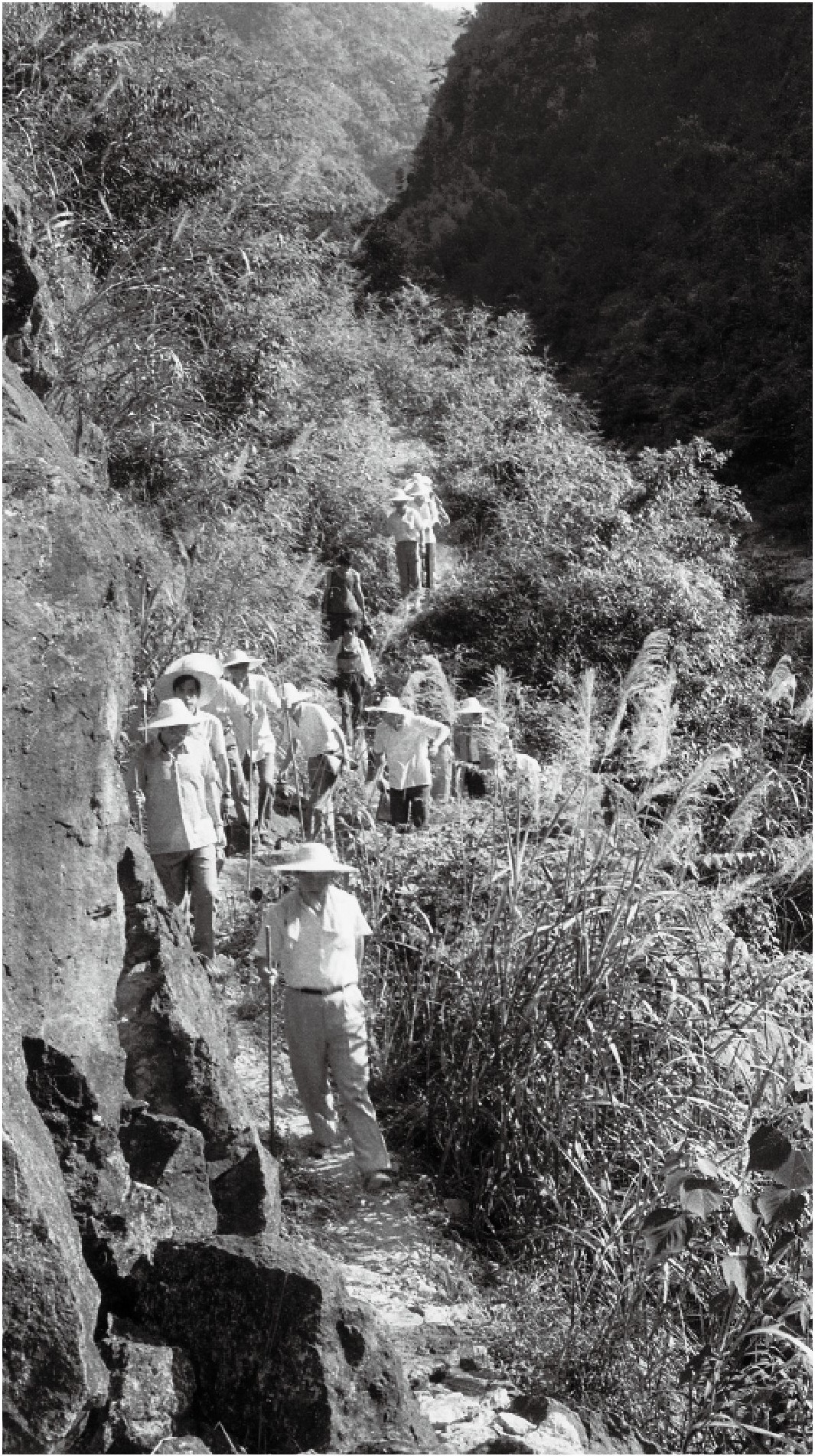 1989年7月，習(xí)近平一行到壽寧縣下黨鄉(xiāng)調(diào)研。