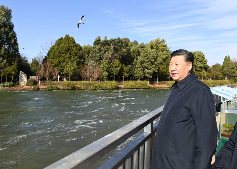 2020年1月20日下午，習(xí)近平總書記在云南昆明滇池星海半島生態(tài)濕地考察調(diào)研。