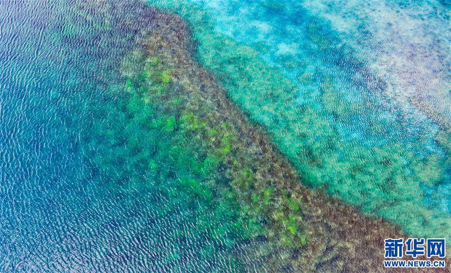 (新華視界)(4)夢(mèng)幻“三色湖”