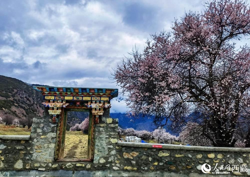 桃花下的藏式民居。人民網(wǎng) 李海霞攝