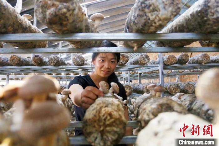 甘肅天?！跋愎椒蚱蕖毕律饺氪ǎ捍笈锢镉板X景”