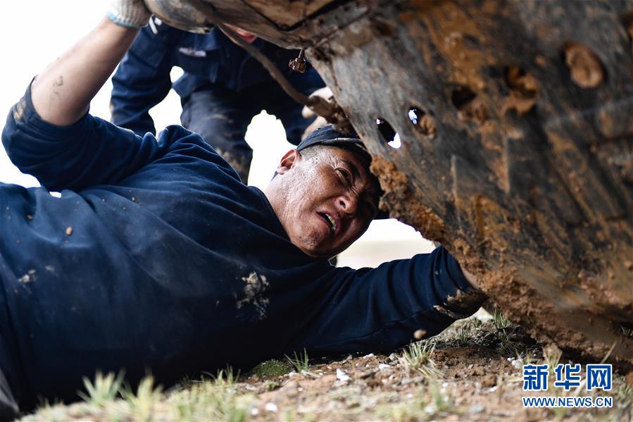 （圖文互動）（1）記者手記：可可西里，“挪”向“藏羚羊大產(chǎn)房”的14個半小時