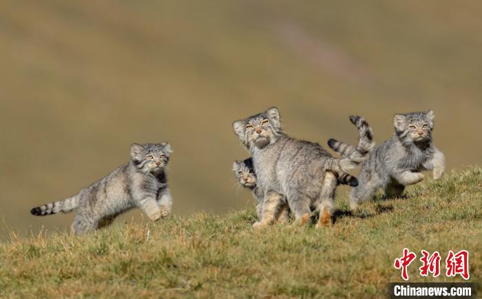 圖為李善元獲獎(jiǎng)作品《當(dāng)媽媽說(shuō)跑步前進(jìn)》。　李善元 攝