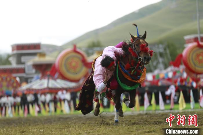 青海玉樹(shù)：70年，幸福生活如格桑花綻放