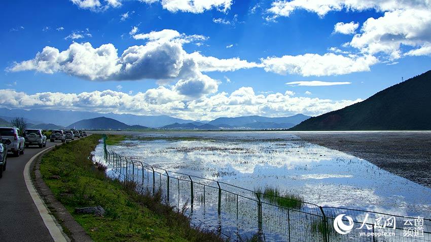 納帕海濕地。呂昊辰攝