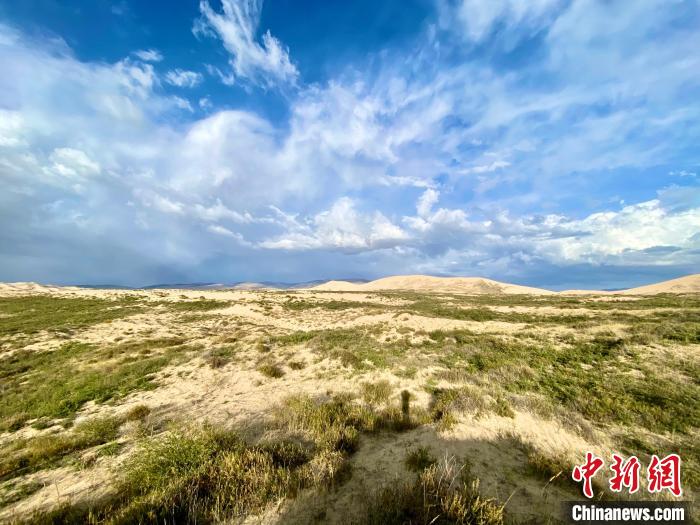 圖為關(guān)停四年后的沙島景區(qū)現(xiàn)狀?！±罱瓕?攝