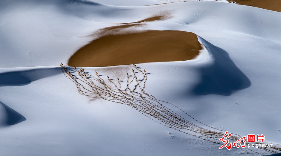 三江源國家公園正式設(shè)立，這是青海生態(tài)文明建設(shè)的新答卷
