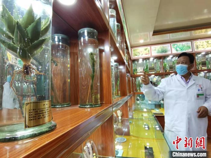 甘肅省甘南藏族自治州碌曲縣藏醫(yī)院副院長看照加近30年的從醫(yī)工作，堅持中藏醫(yī)特色優(yōu)勢相結(jié)合診療方法。　張婧 攝