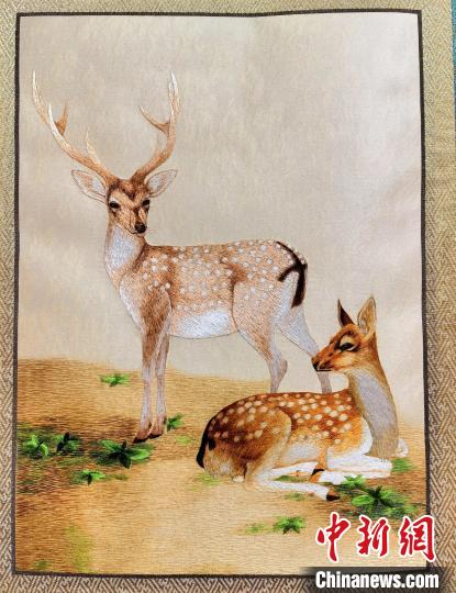 圖為藏繡作品?！∑钤鲚?攝