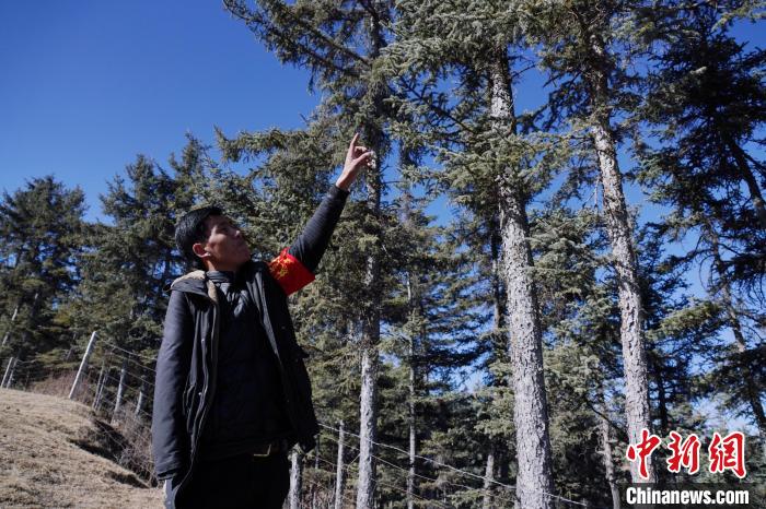 圖為桑杰加介紹林場樹木。　馬銘言 攝