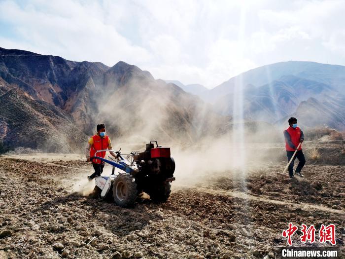 圖為拖拉機在山地犁地?！?zhí)砀?攝