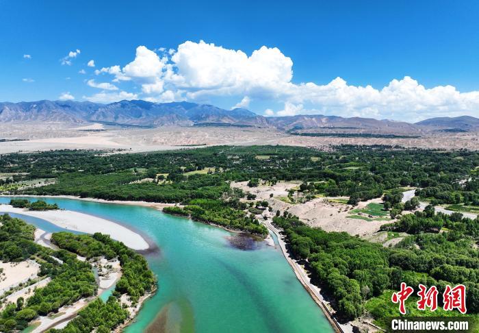 航拍貴德縣黃河岸畔綠意盎然?！●R銘言 攝