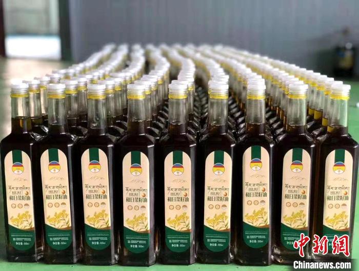 (人民幸福生活)青海高原藏鄉(xiāng):“領(lǐng)頭雁”帶領(lǐng)村集體經(jīng)濟(jì)飛躍新天地