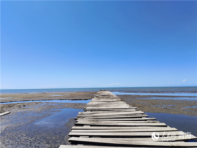  青海湖仙女灣。人民網(wǎng) 張莉萍攝