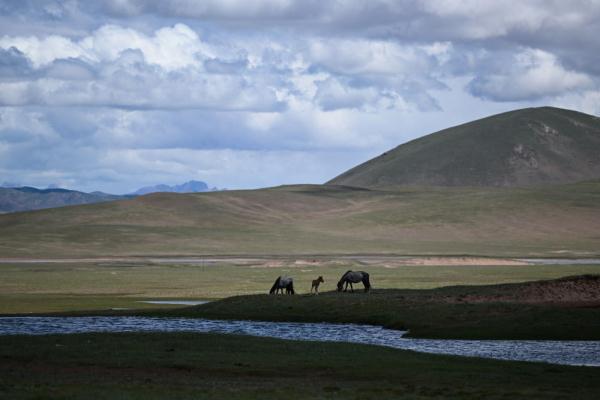 唐古拉山腳下，聽牧民講述長(zhǎng)江源生活變遷