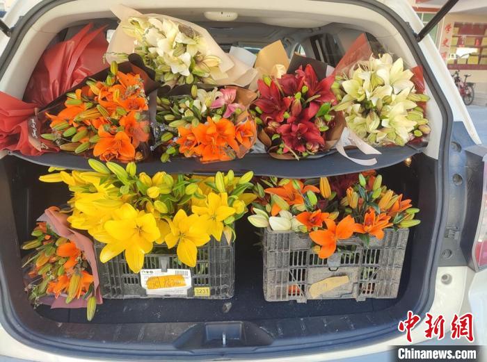 剛剛采摘下來(lái)的百合花?！∪捞量h委宣傳部供圖