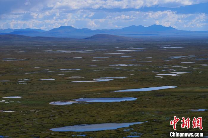 圖為查旦濕地?！●R銘言 攝