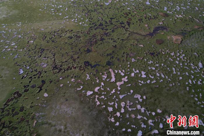 航拍查旦濕地?！●R銘言 攝