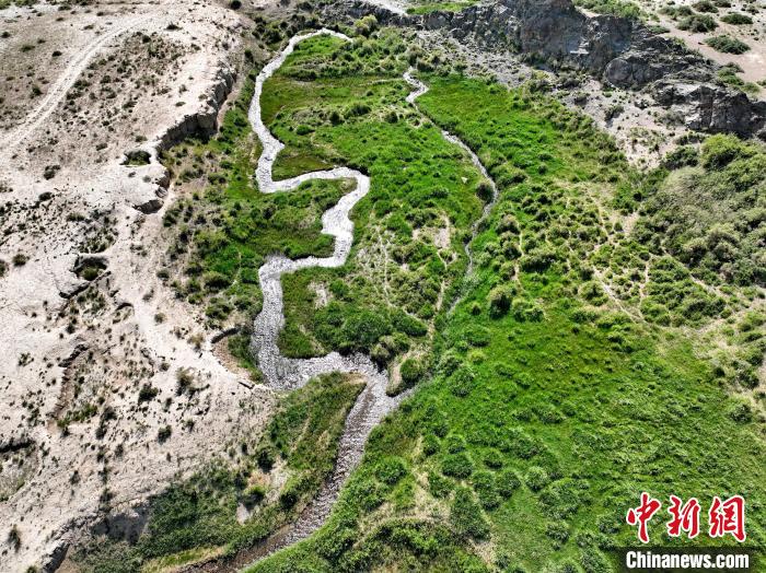 圖為航拍都蘭湖國家濕地公園綠意盎然?！∑钤鲚?攝