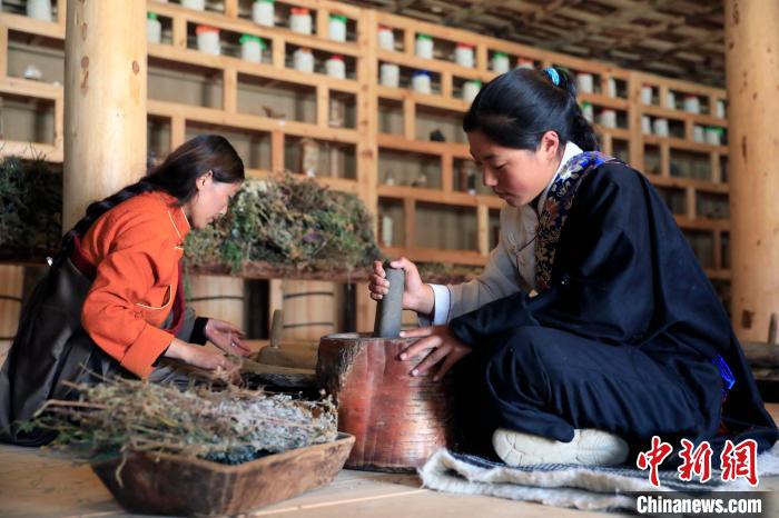 藥材搗碎。　王磊 攝