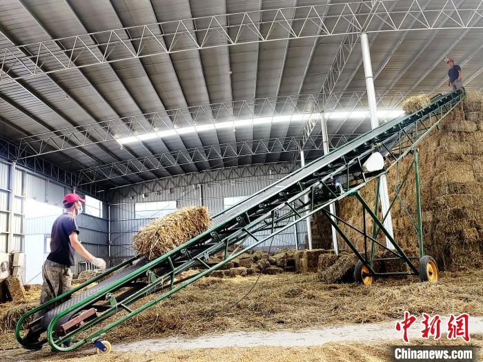 圖為飼草打捆、儲存?！●R芝芬 攝