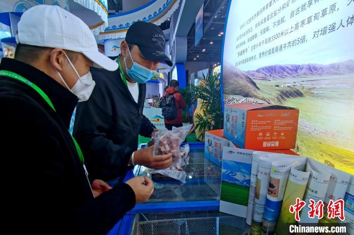 圖為青海參展商整理牛羊肉?！±铍h 攝