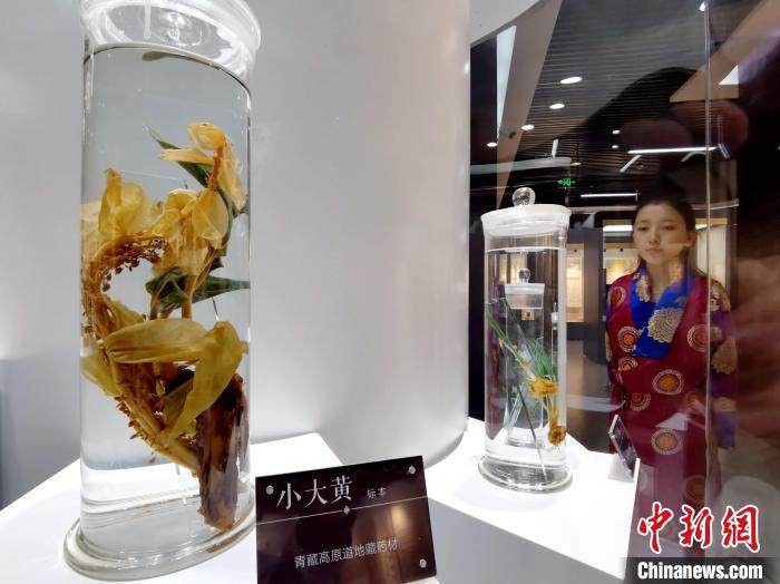 青海中藏醫(yī)藥發(fā)展提速：建設(shè)一批重點(diǎn)專(zhuān)科學(xué)科，推廣一批適宜技術(shù)