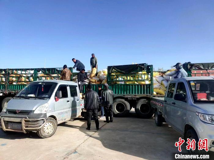 圖為合作社正在拉運化肥。(資料圖) 張海蓮 攝