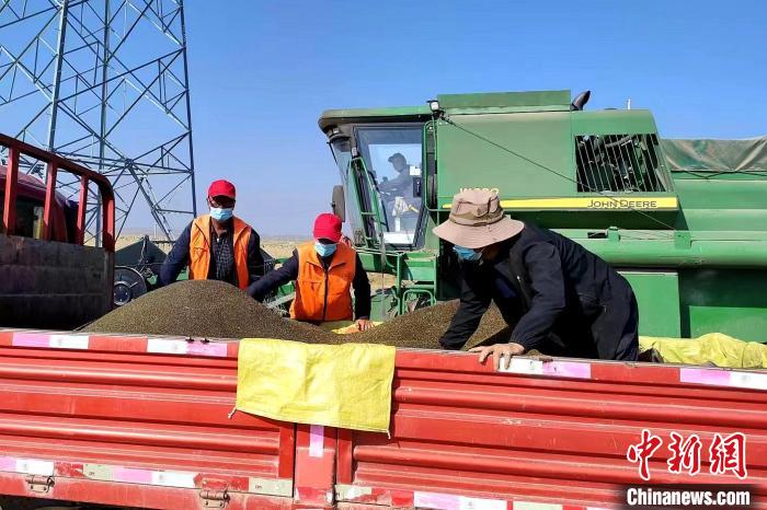 圖為合作社工作人員準(zhǔn)備播種。(資料圖) 張海蓮 攝