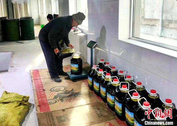 圖為高原油菜籽榨出的菜籽油?！埖么?攝