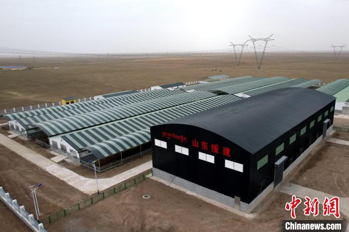 圖為航拍生態(tài)畜牧業(yè)集中規(guī)?；B(yǎng)殖基地?！〔讨绢?攝