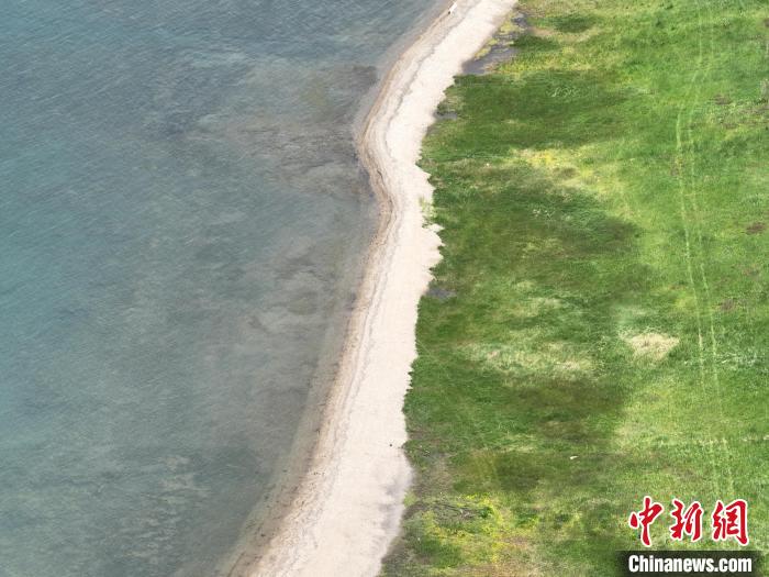 圖為航拍仲夏時節(jié)，青海湖畔綠茵如毯?！∑钤鲚?攝