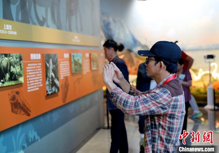圖為臺(tái)商在祁連山國家公園生態(tài)科普館觀看墻面藝術(shù)圖文?!⊙Φ?攝