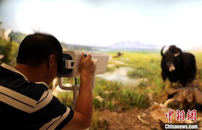 圖為臺(tái)商觀看祁連山國家公園生態(tài)科普館內(nèi)生態(tài)場(chǎng)景?！⊙Φ?攝