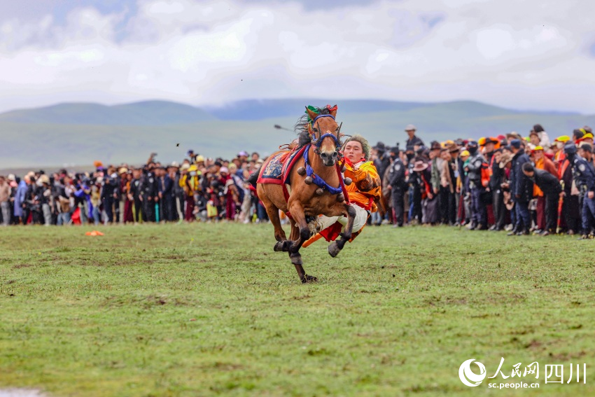 馬術(shù)表演現(xiàn)場(chǎng)。洛絨尼瑪攝