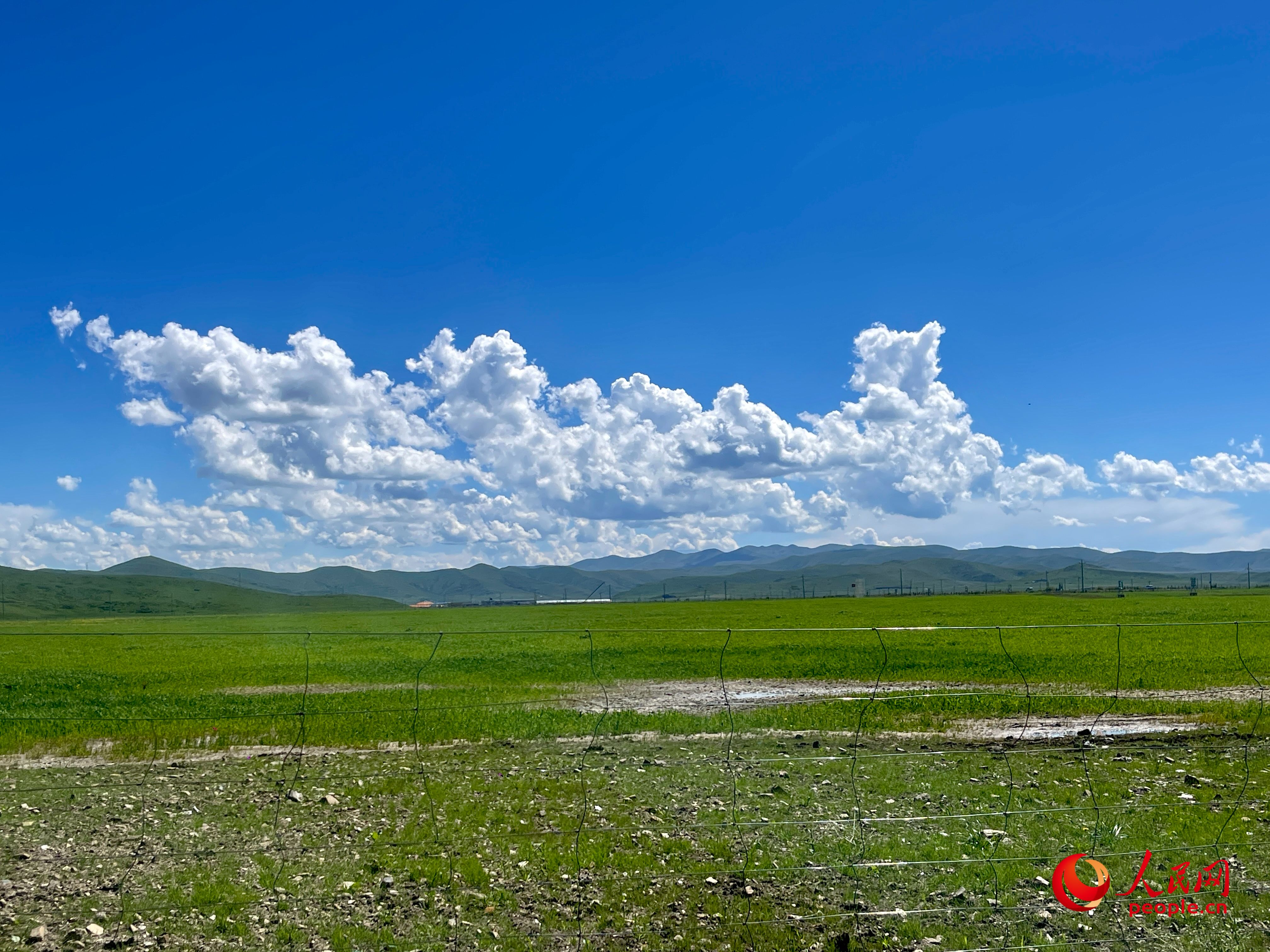 唐日合作社附近，藍(lán)天白天、綠草如茵。人民網(wǎng) 周靜圓攝