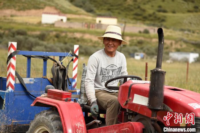 青海囊謙：喜迎秋收，又是一年“豐”景
