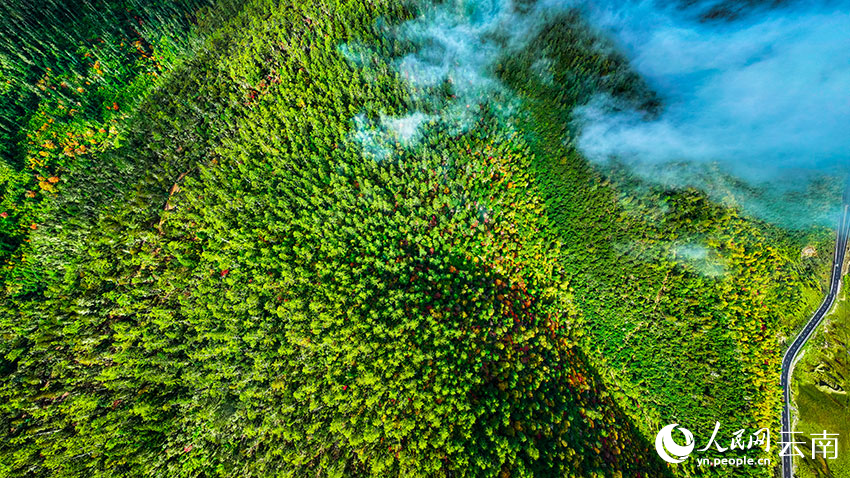 秋日普達(dá)措。格瑪攝