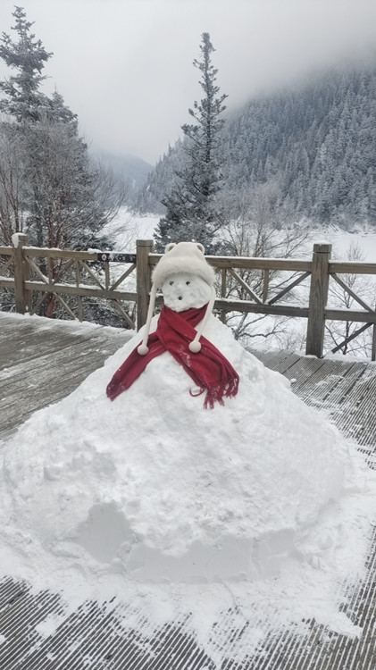 游客堆的雪人。九管局供圖