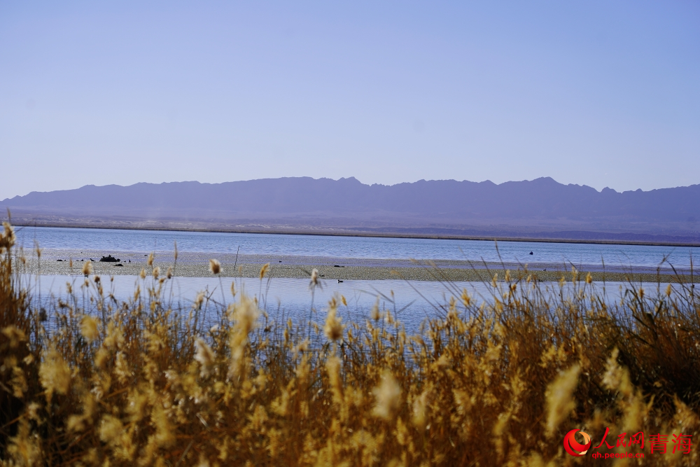 可魯克湖秋色如畫。人民網(wǎng) 陳明菊攝