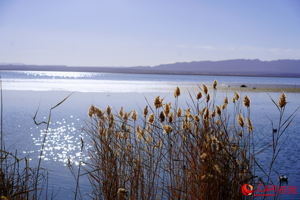 可魯克湖秋色如畫。人民網(wǎng) 陳明菊攝