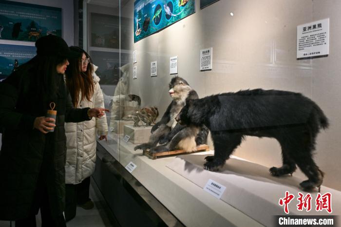 錯(cuò)峰游迪慶：博物館成寶藏打卡地