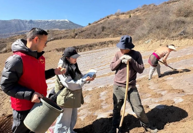 農(nóng)技人員現(xiàn)場指導。黑水縣融媒體中心供圖