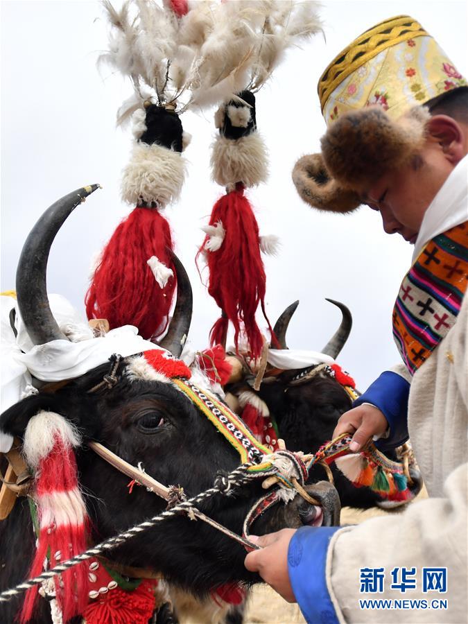 (經(jīng)濟(jì))(2)西藏:春耕第一犁