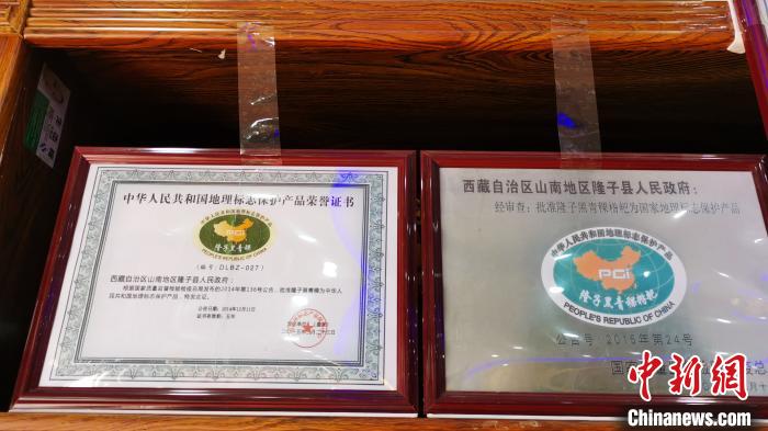 圖為2015年，隆子黑青稞成為中國國家地理標(biāo)志保護(hù)產(chǎn)品?！垈?攝